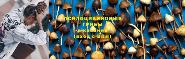 тгк Верхний Тагил