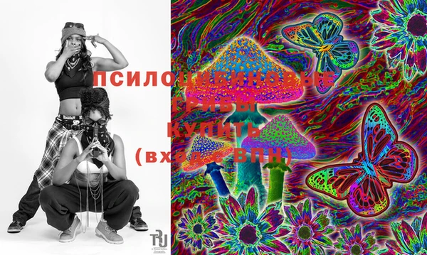 дурь Верея
