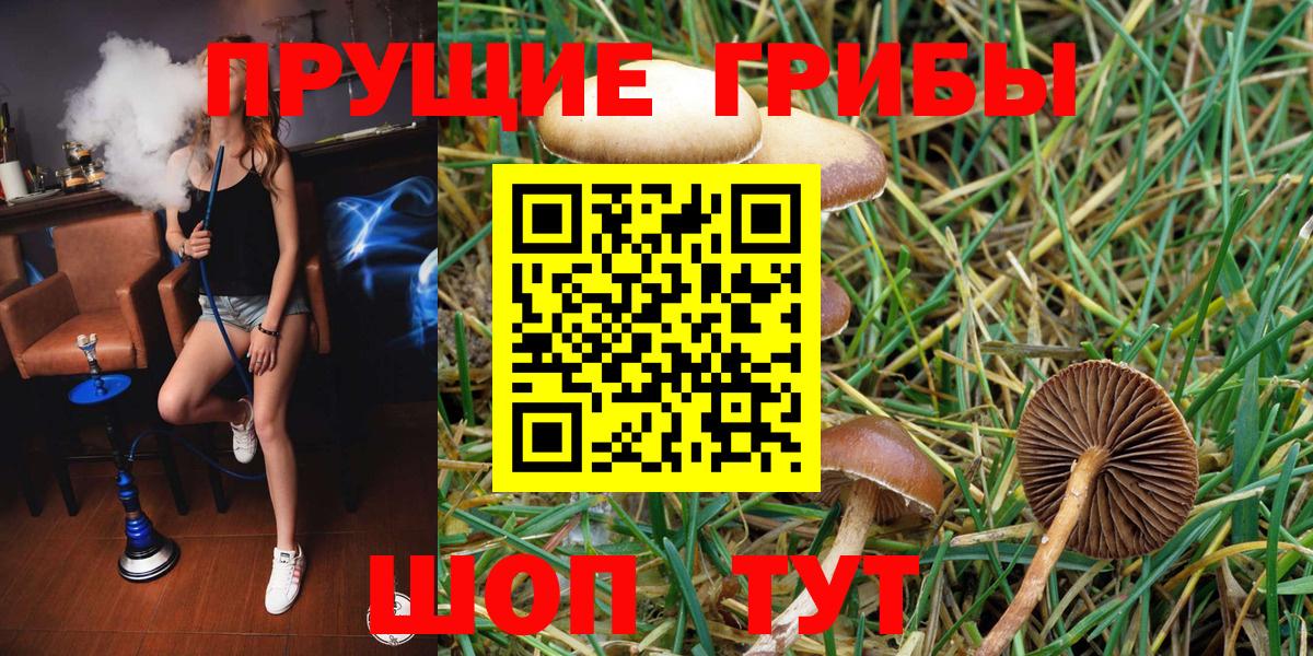 Галлюциногенные грибы прущие грибы Тверь