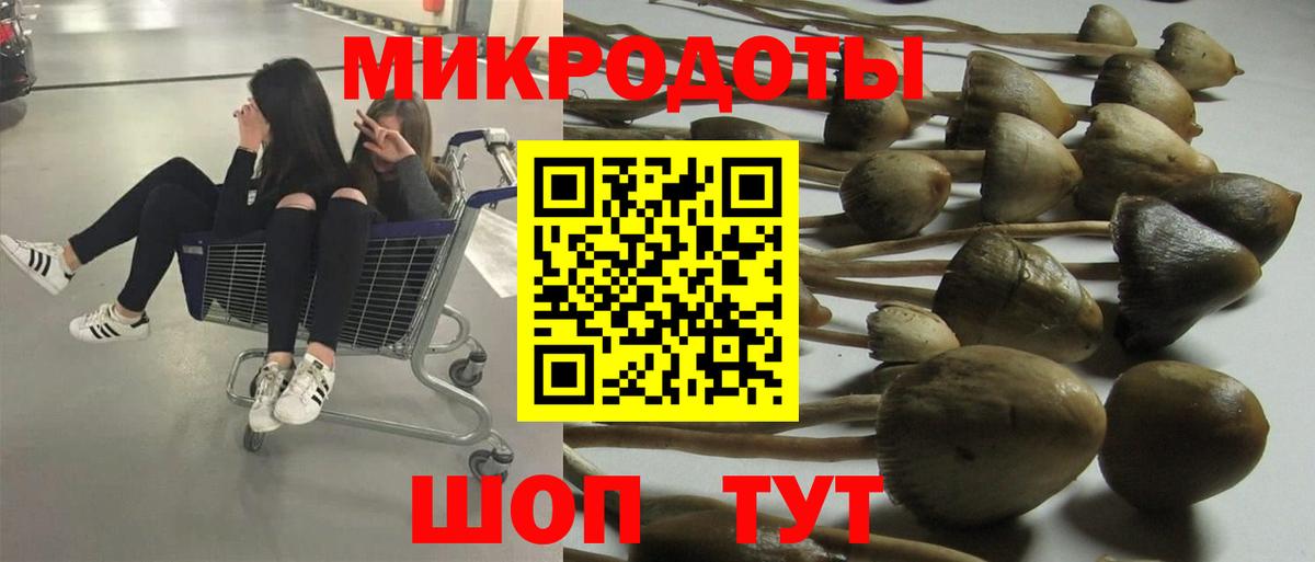 Галлюциногенные грибы мухоморы  Псилоцибиновые грибы прущие грибы  Вход с VPN  Тверь 