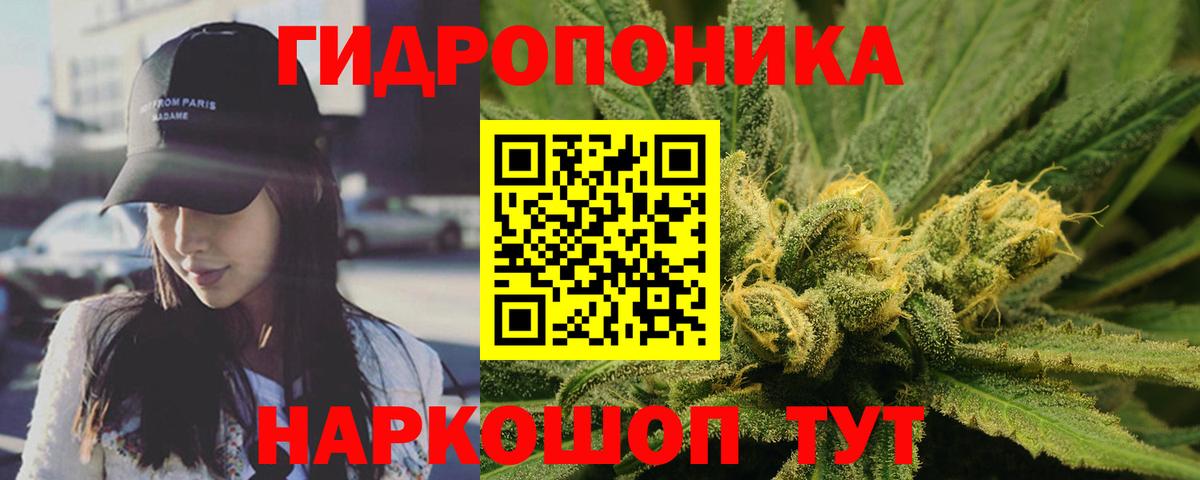 Канабис ГИДРОПОН Тверь
